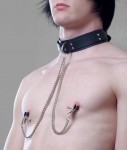 Collar W/ Attached Nipple Clamps