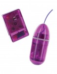 Remote Control Bullet Purple W/p