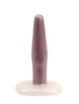Butt Plug Iridescent Purple Sm Cd
