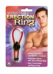 Adjustable  Erection Ring