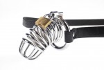 Fetish Fantasy Extreme Chastity Belt