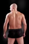 Fetish Fantasy Male See Thru Boxer L/xl(wd)