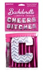 Bachelorette Cheers Bitches Party Banner