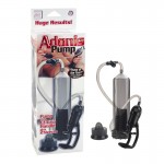 Adonis Pump