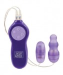 Passion Bullets Purple Bullet & Mini Probe