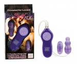 Passion Bullets Purple Bullet & Mini Probe