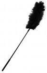 Ostrich Feather Black