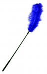 Ostrich Feather Purple